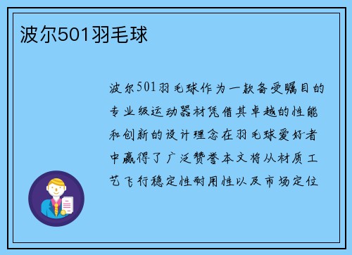波尔501羽毛球